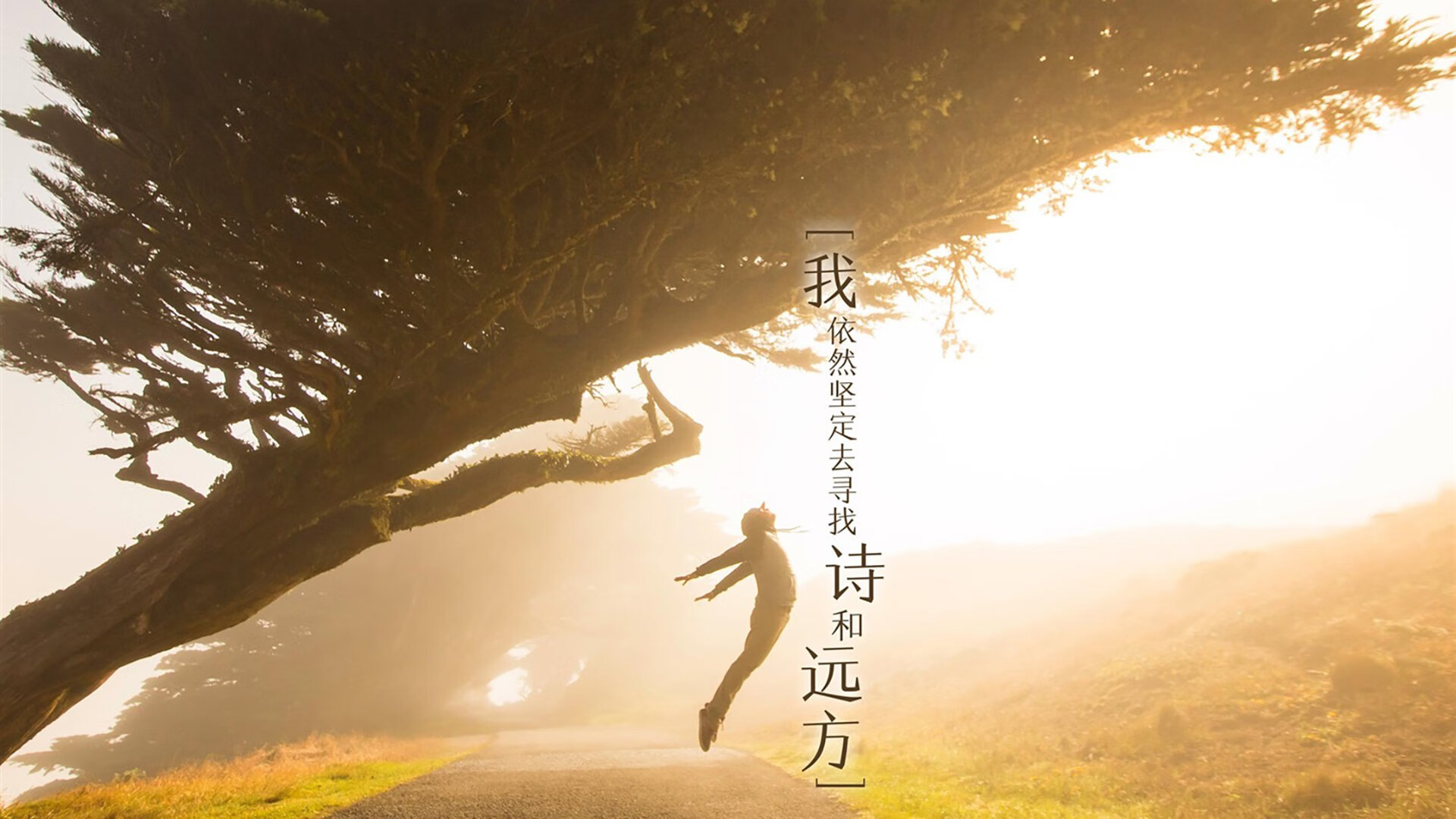 哈登连连飙分火箭新生再起,哈登参加火箭合练