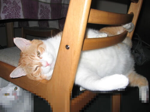 中国足球超级联赛新赛季赛程正式公布，中国足球协会超级联赛赛程