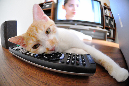 开云体育在线入口-国王防守效率数据在联盟中名列前茅，国王队防守悍将