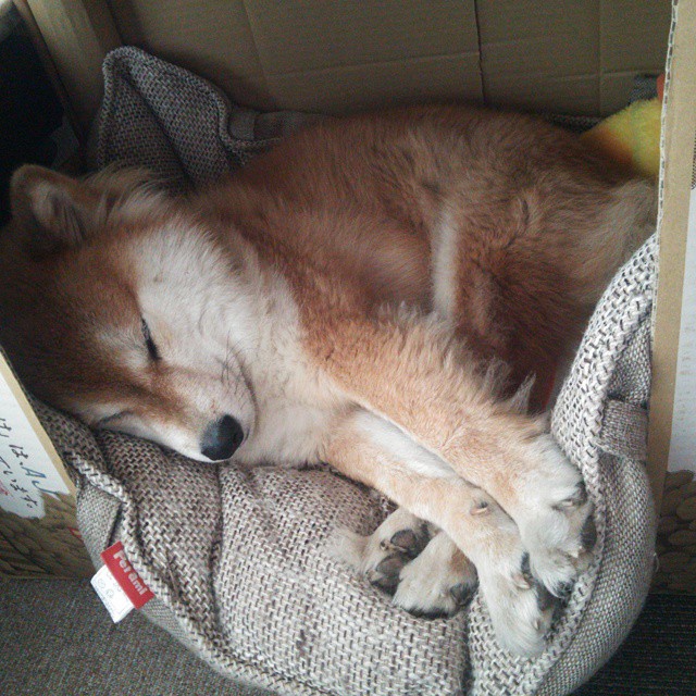 意甲快速反击:秒秒突破,惊艳全场!,意甲谁能打爆这条防线